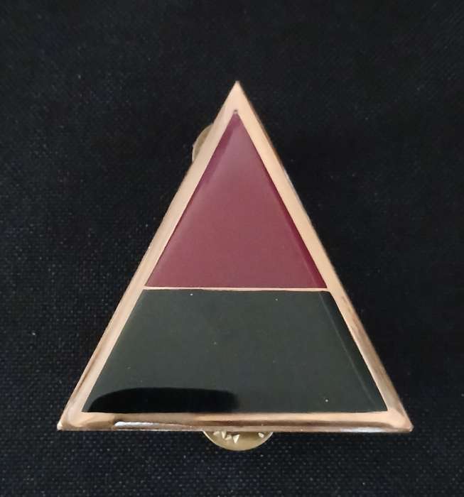 SADF 44 Parachute Brigade ` ALPHA ` Company Arm Flash                       H64