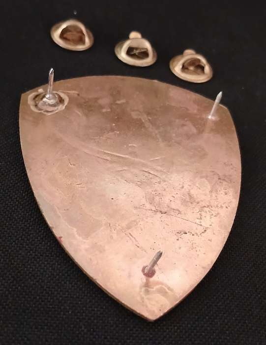SADF SAMS  33 Field Ambulance Unit Shoulder Flash                                       F244