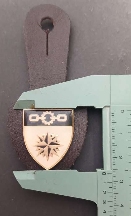 Reconnaissance Regt Support Unit pocket fob badge (Recce Supply)              F250