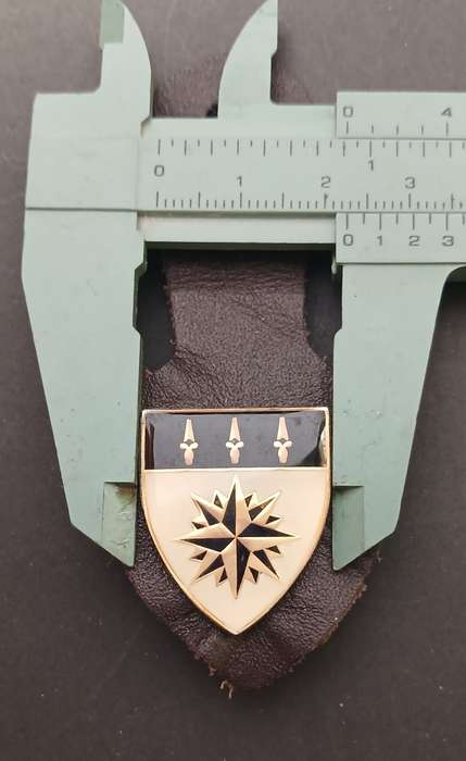 1 Reconnaissance Regiment(1 Recce) affiliation Fob badge                  F251