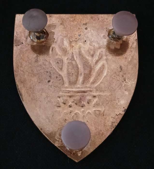 7TH NORTHERN CAPE COMMAND ENGINEER REGIMENT SHOULDER FLASH  ( Three Pins Repaired )             D128