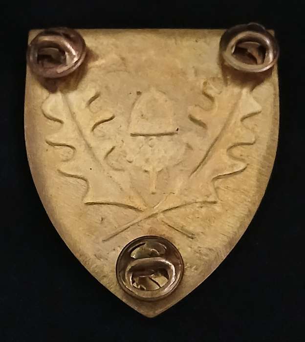 SADF REGIMENT STELLENBOSCH SOULDER FLASH                     D144