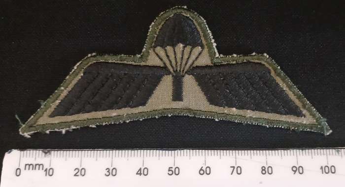 DUTCH PARACHUTE WINGS  ( NETHERLANDS ARMY M93 )                                V64