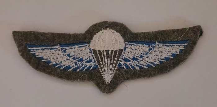 HUNTER GROUP PARACHUTE CLOTH WING   ( 1968 - 1976 )                      V67
