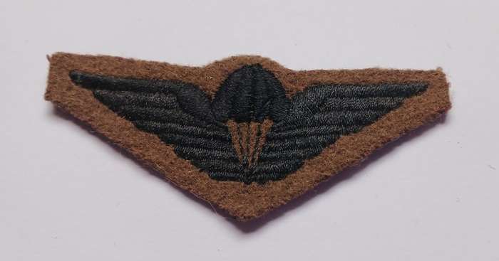 CISKEI PARACUTE CLOTH WINGS                               V77