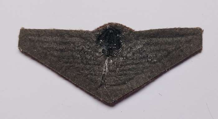 CISKEI PARACUTE CLOTH WINGS                               V77