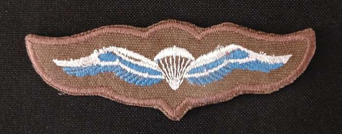 SA PARACHUTE BASIC WINGS     `` FIRST STYLE ``                               V78