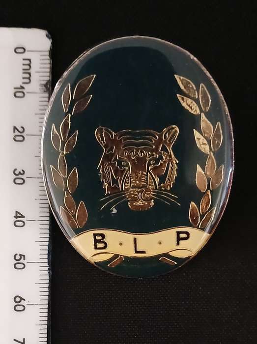 BOTSWANA OFFICERS RAILWAY POLICE CAP BADGE                                 V95