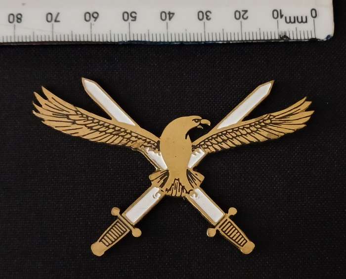 SAAF HQ -- SOUTH AFRICAN AIR FORCE HEADQUARTER BADGE        V116