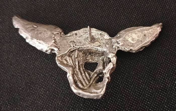 UNKNOWN SKULL WING BADGE                          V132