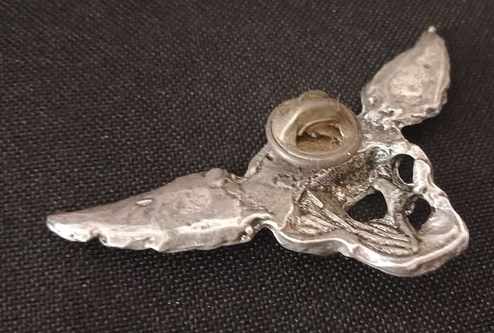 UNKNOWN SKULL WING BADGE                          V132
