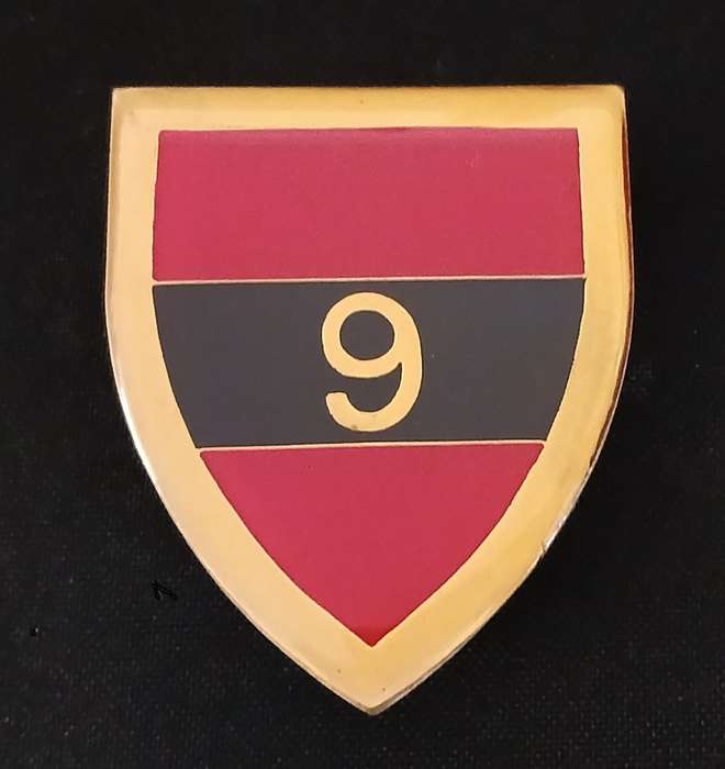 SADF 9 ENGINEER SQUADRON SHOULDER FLASH                    D151