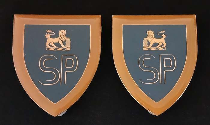 SA. ARMY STATE PRESIDENTS GUARD SHOULDER FLASHES                          D161