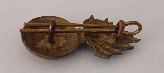ROYAL INNISKILLING FUSILIERS IRISH REGIMENT BADGE               C18