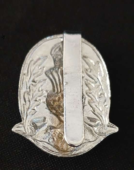 SCOTTISH POLICE CAP BADGE  PRE 1952                     C20