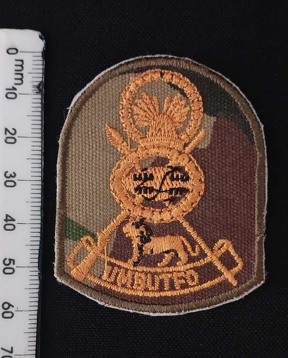 SWAZILAND ARMY BERET BADGE ( UMBUTFO )                 C50