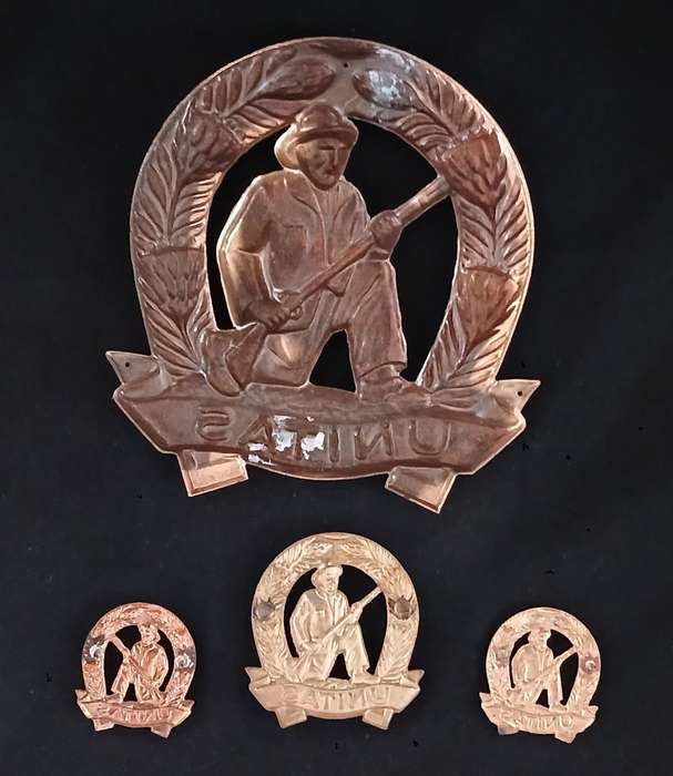 SADF UNITAS CAP AND COLLAR BADGES + PLAQUE BADGE              C91