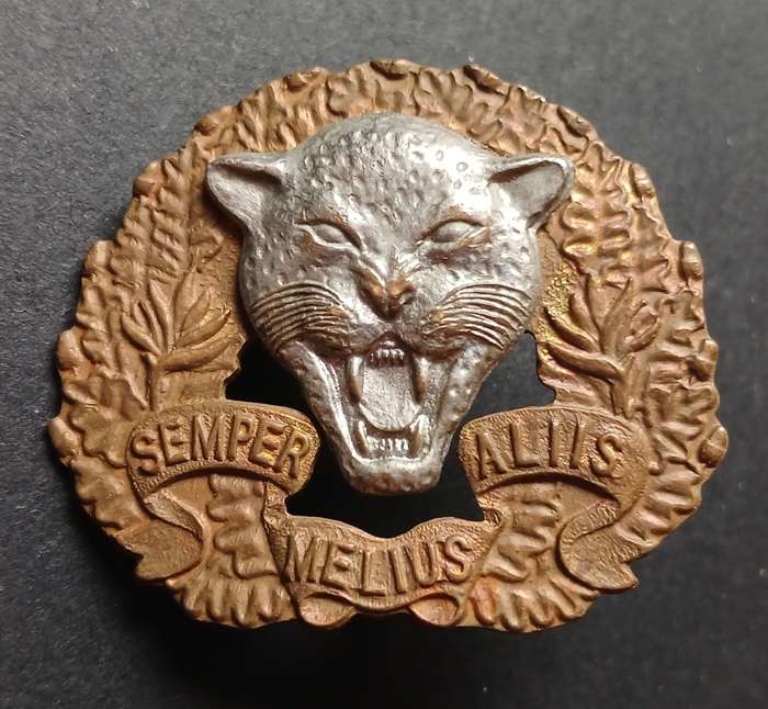 SADF 6 SA. INFANTRY TRAINING UNIT CAP BADGE  ` BI-METAL `                       C119