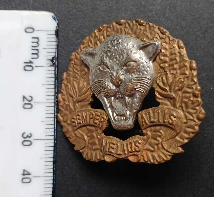 SADF 6 SA. INFANTRY TRAINING UNIT CAP BADGE  ` BI-METAL `                       C119