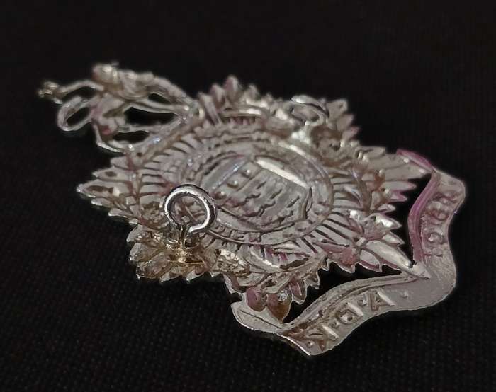SADF / SA ARMY SERVICES CORPS CAP BADGE                  R34