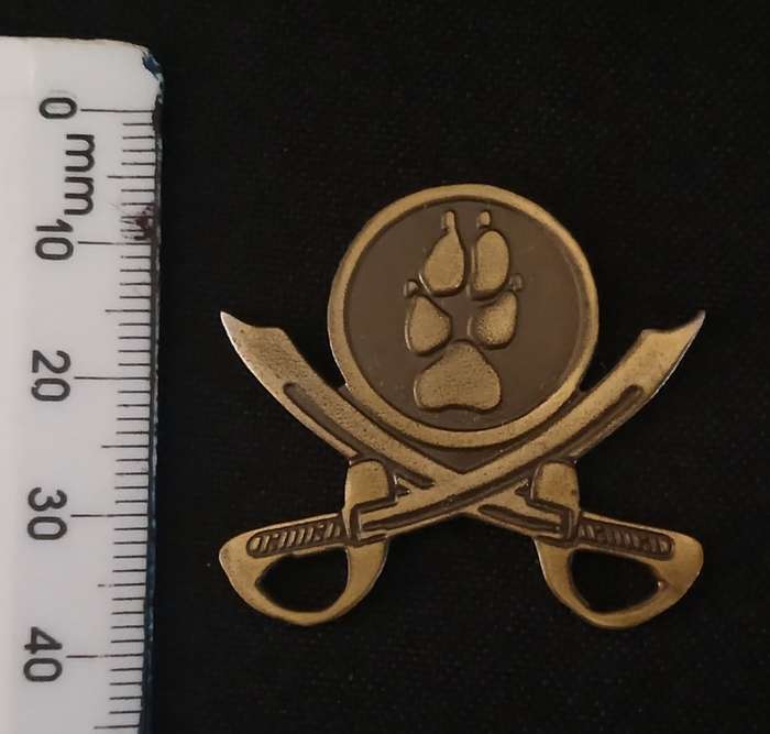 SAP TRACKER PTI INSTRUCTOR METAL BADGE                         R39