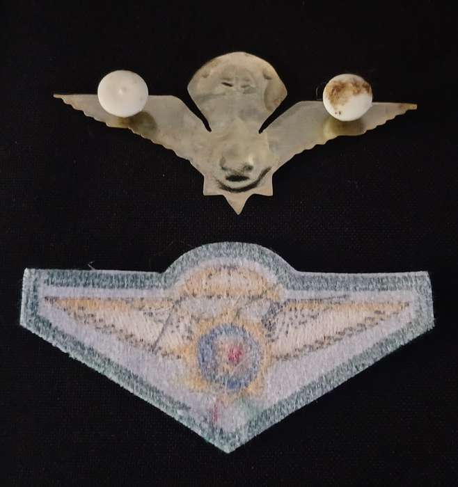 SAP Special Task Force Cloth Para Wings ( Dark Green ) & Metal Wing OLD COAT OF ARMS   R43