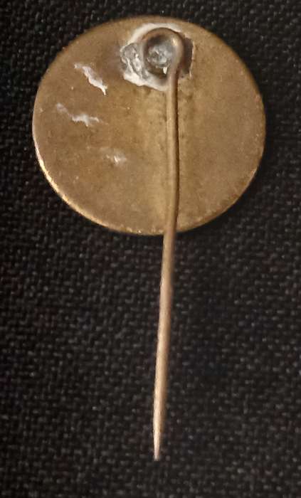THE GEORDIE CLUB OF RHODESIA PIN BADGE                   R57