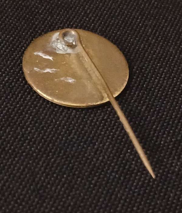 THE GEORDIE CLUB OF RHODESIA PIN BADGE                   R57