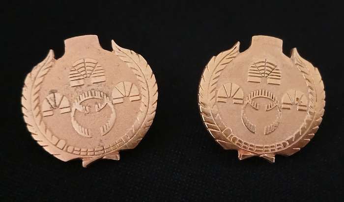 KWAZULU PRISON COLLAR BADGES      R60