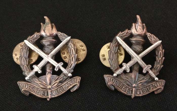 REGIMENT SKOONSPRUIT / REGIMENT SCHOONSPRUIT COLLAR BADGES R78
