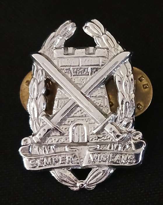 South African Special Service Corps Cap Badge                  R82