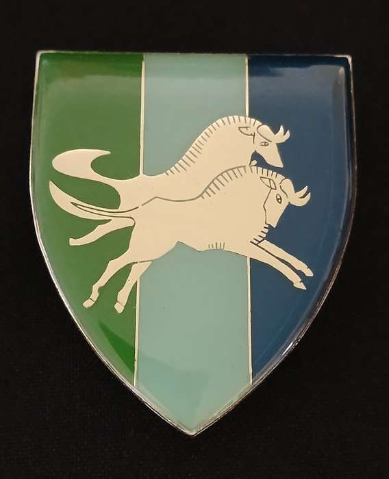 SADF Natal Signals Command Shoulder Flash   ( 2 Pins Repaired )                 MM14