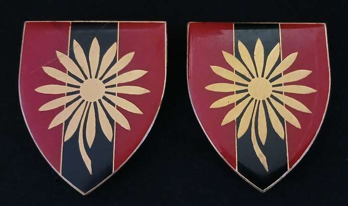 SADF NORTHERN TRANSVAAL COMMND PROVEST UNIT PAIR  ( 2 PINS REPAIRED )          MM29
