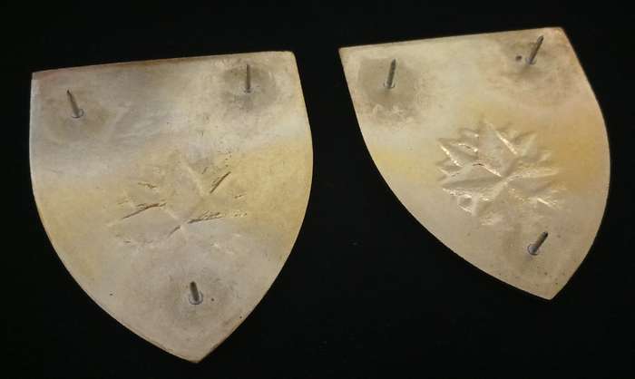 4 Special Forces Regiment Shoulder Flashes          L1
