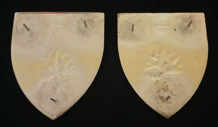 5 Special Forces Regiment Shoulder Flashes            L2