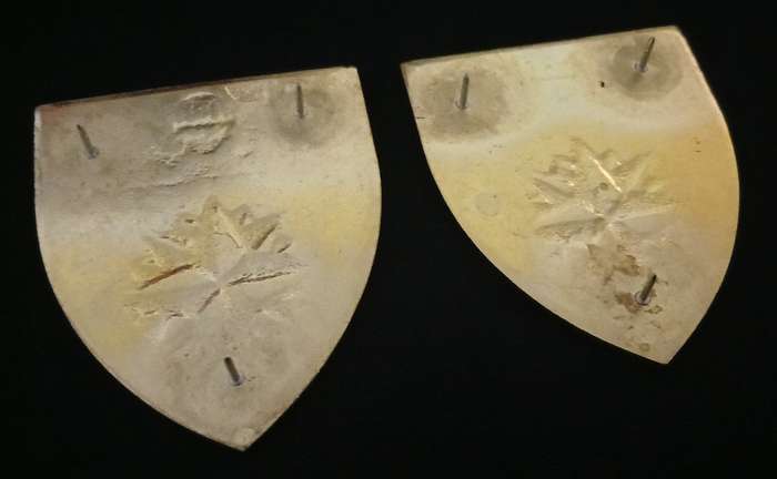 5 Special Forces Regiment Shoulder Flashes            L2