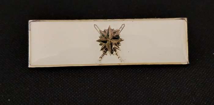 SADF RECCE HQ COMMAND BAR                           L20