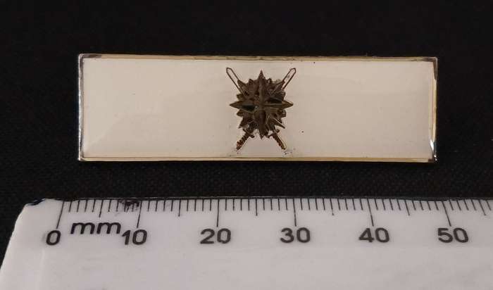 SADF RECCE HQ COMMAND BAR                           L20