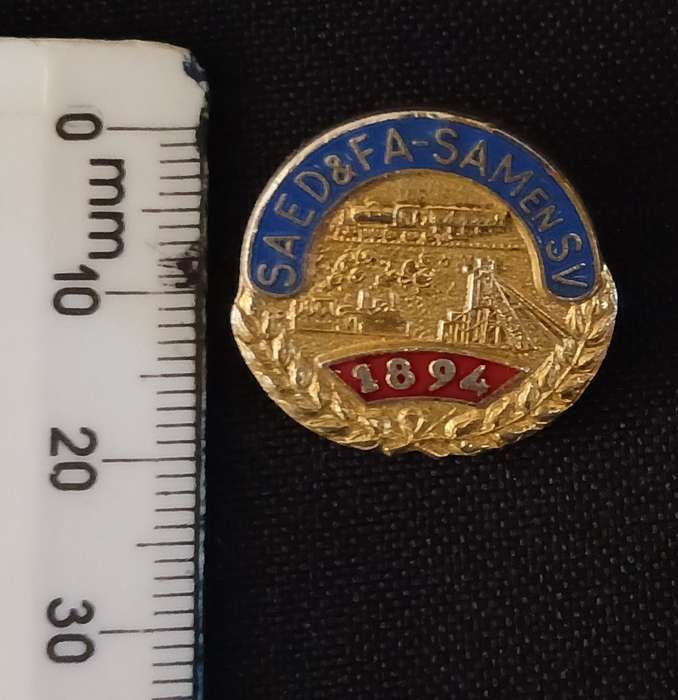 1894  ( UNKNOWN ) SAED & FA - SAM EN SV BUTTON BADGE            L27