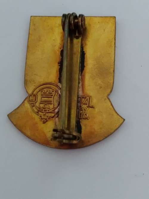 Pin  - Vroue Landbou Unie Suid Afrika - Woman Agricultural Union