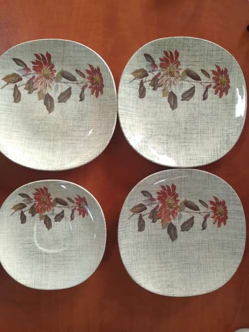 J and G Meakin Flamenco Plates
