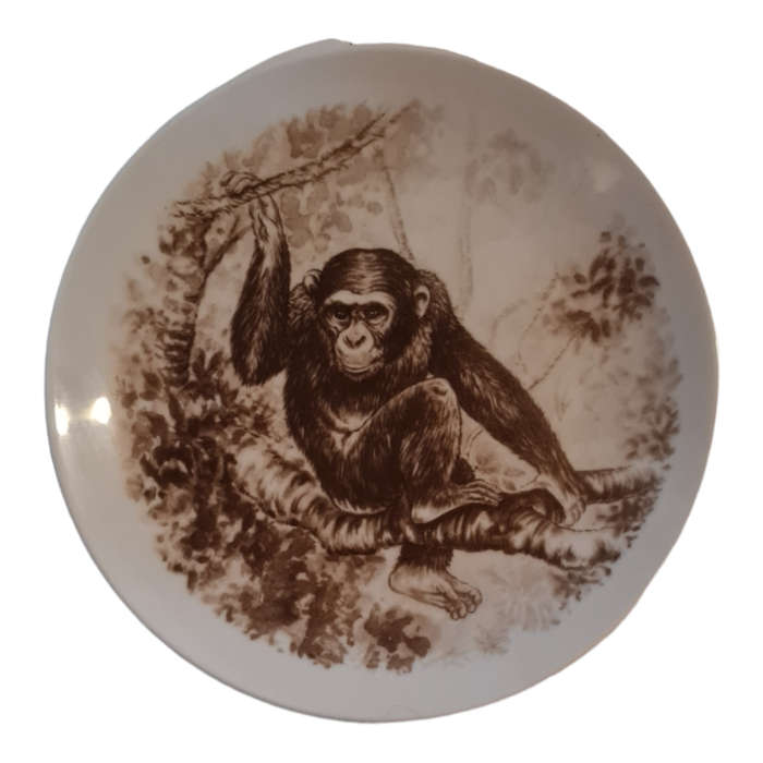 Fine English bone China Plate With Monkey Design