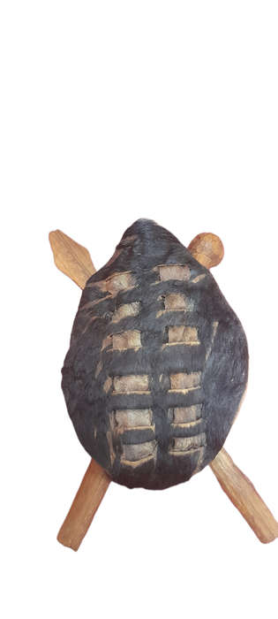 Zulu Shield