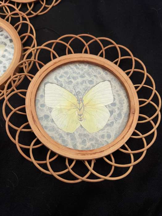 Coasters set butterflies