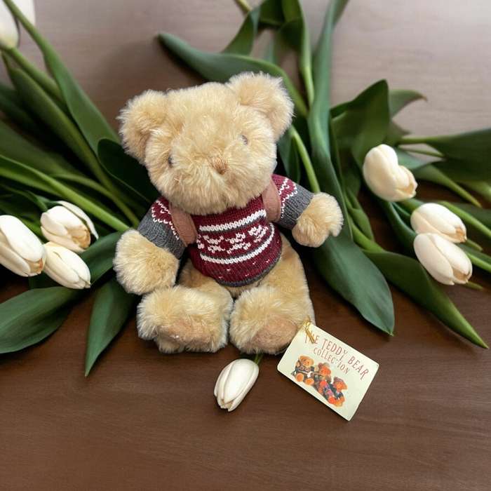 Teddy(Nr1)