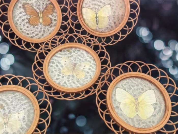 Coasters set butterflies