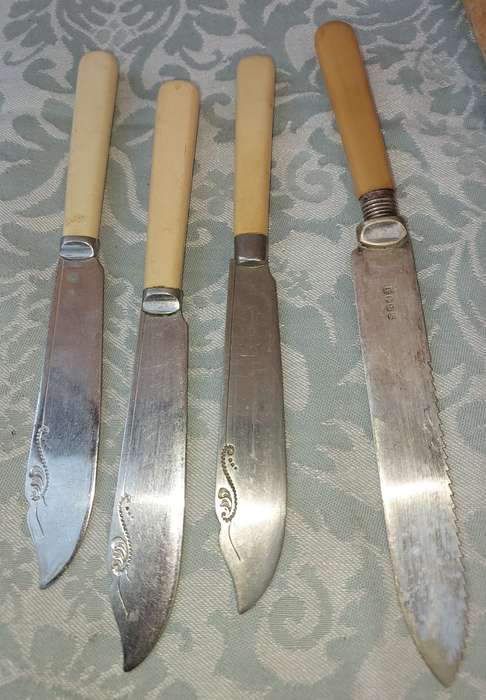 AN ANTIQUE COLLECTION OF BONE HANDLE KNIVES