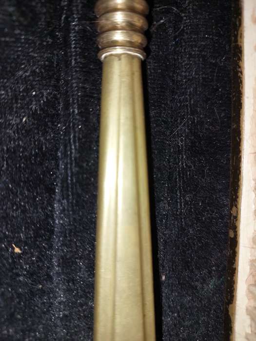 AN ANTIQUE COLLECTION EDWARDIAN BRASS GOLD PLATED HAIR BRUSHES