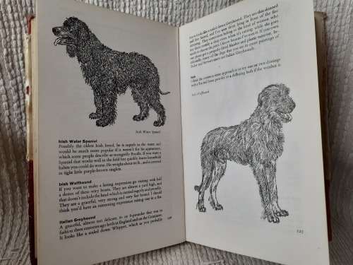 D is for Dog ~ Frank Manolson
