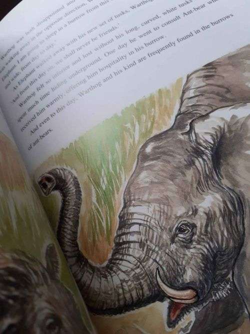 The Zebra`s Stripes and other African Animal Tales ~ retold by Dianne Stewart